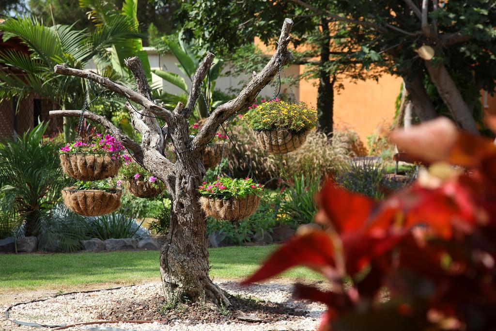 Shaar Hagolan Kibbutz Country Lodging Exterior foto