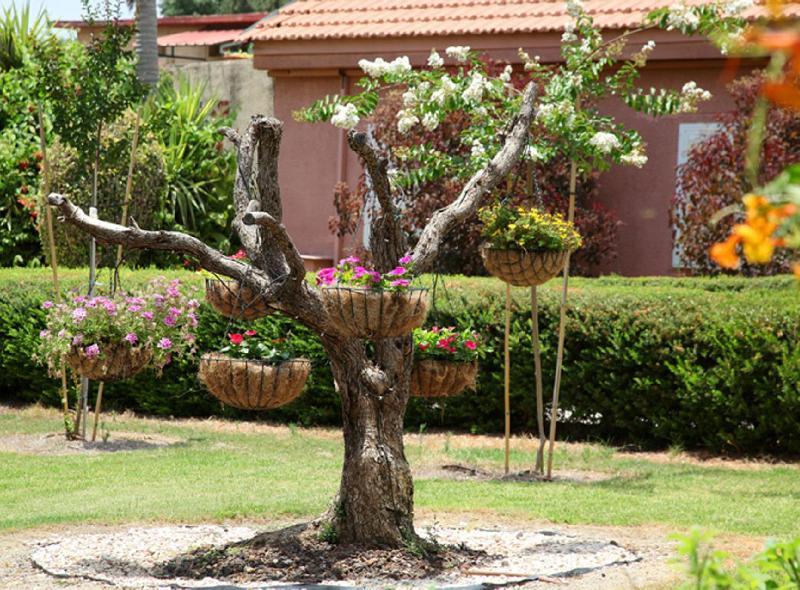 Shaar Hagolan Kibbutz Country Lodging Exterior foto